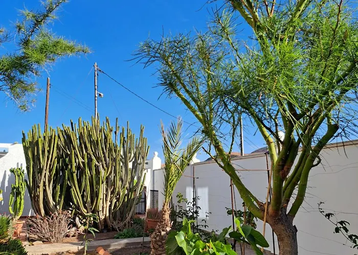 Cardon Rooftop Suite, Casa Coronel In La Lajita, Since 2026 Apartmán